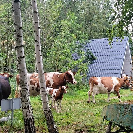 Vigio Brasta Camping Elektreny Zewnętrze zdjęcie