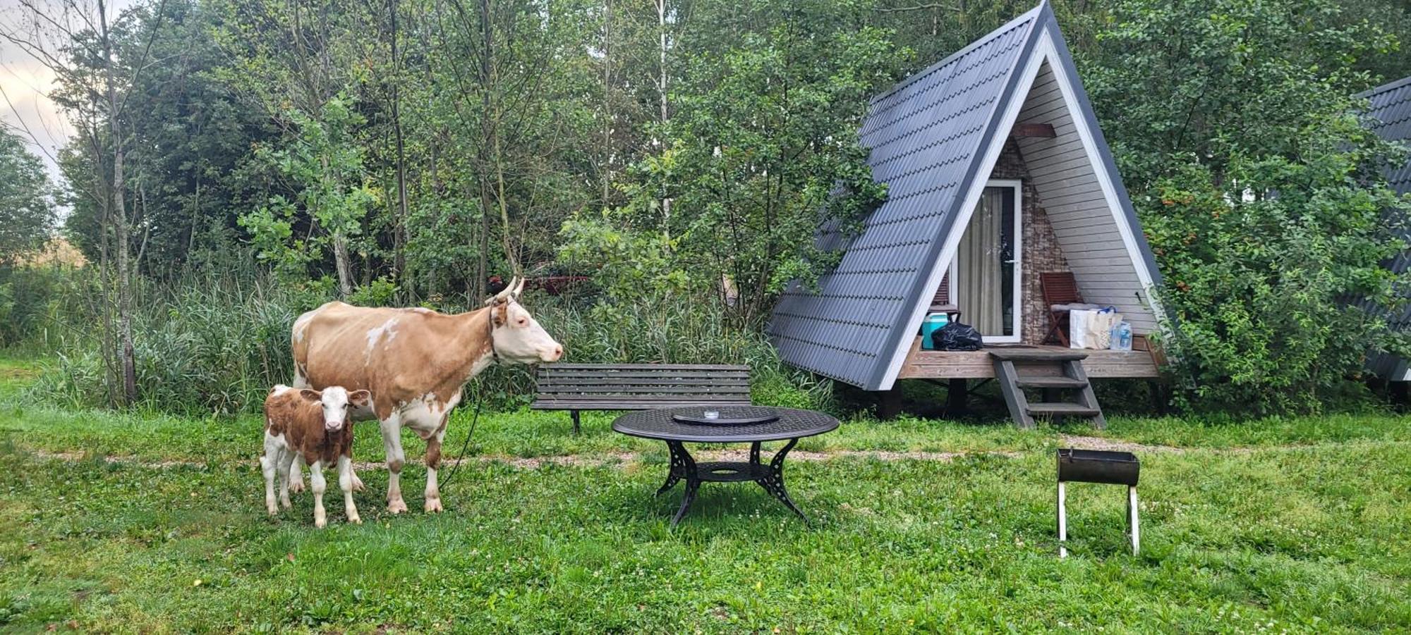 Vigio Brasta Camping Elektreny Zewnętrze zdjęcie